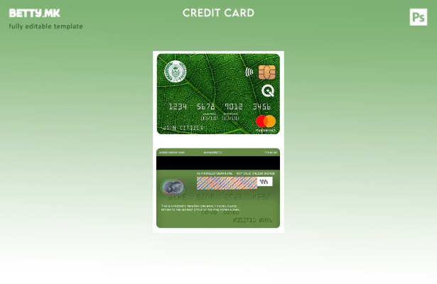 Модерен стил на шаблон за мастер картички на банката Ирак Рафидаин